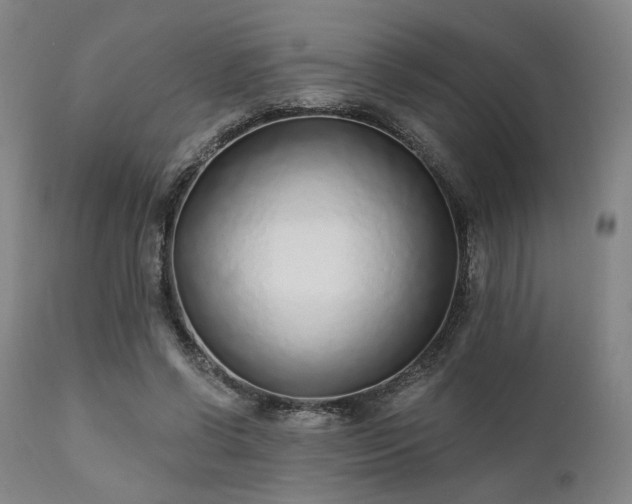 X0000111380542200907171225