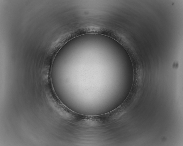 X0000111380545200907171225