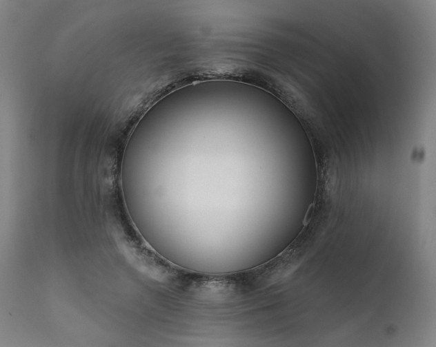 X0000111380546200907171225