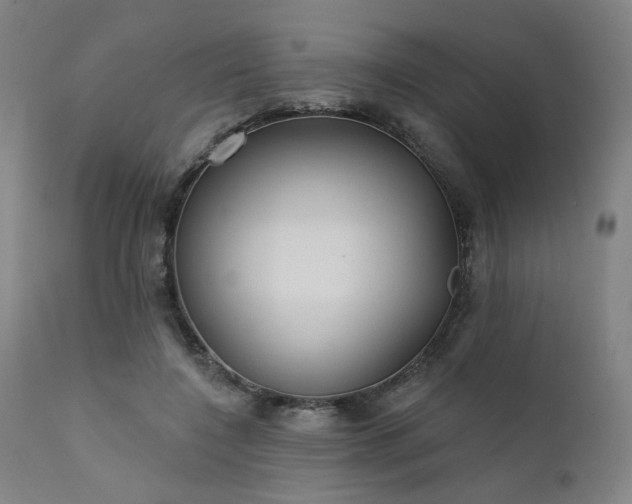 X0000111380548200907171225