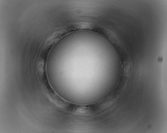 X0000111380550200907171225