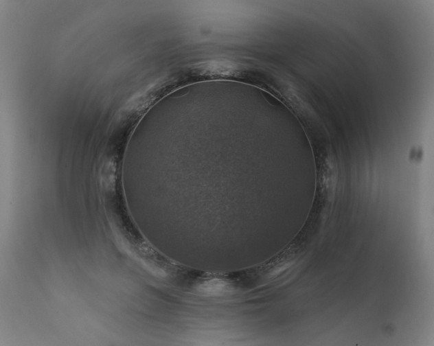 X0000111380551200907171225