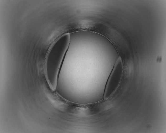 X0000111380552200907171225