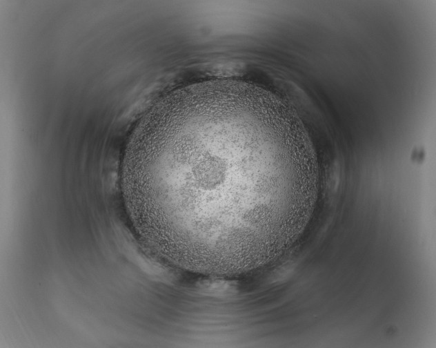 X0000111380553200907171225