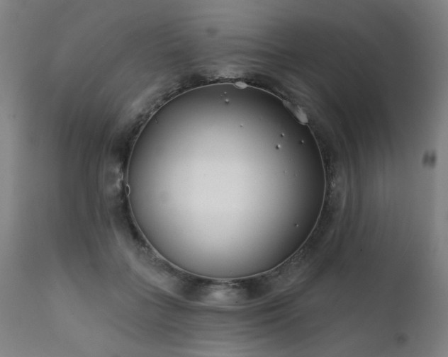 X0000111380555200907171225