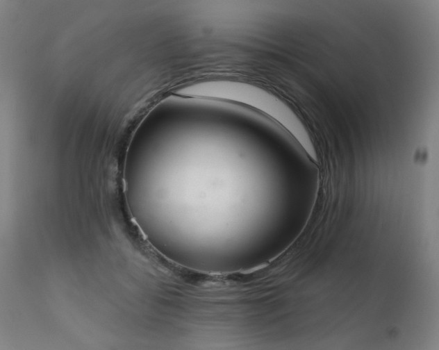 X0000111380556200907171225