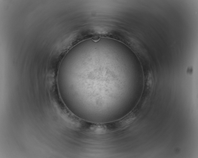 X0000111380559200907171225