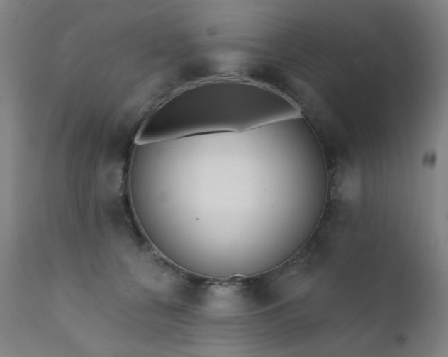 X0000111380560200907171225