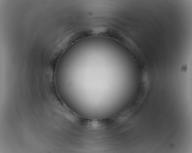 X0000111380565200907171225