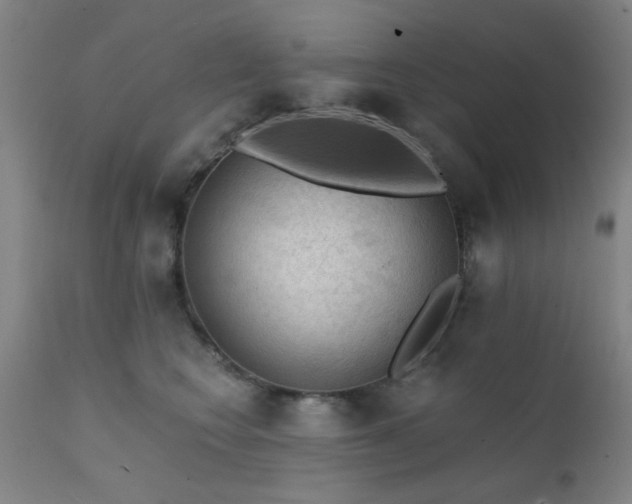 X0000111380566200907171225