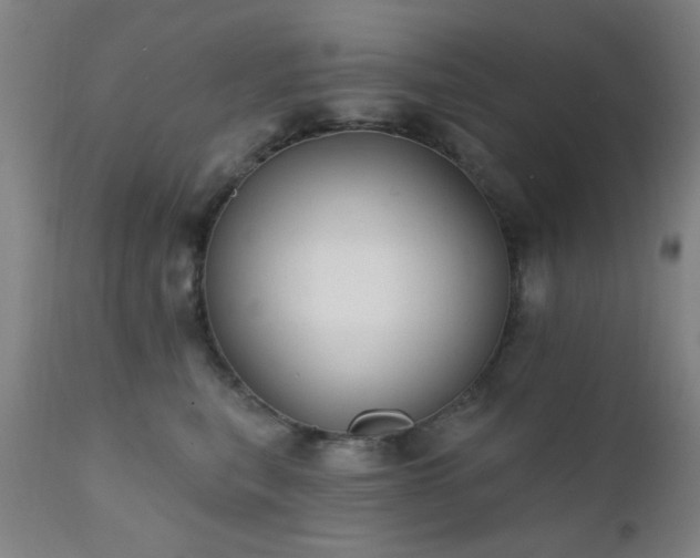 X0000111380567200907171225