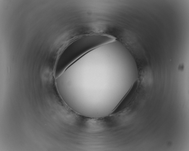 X0000111380568200907171225