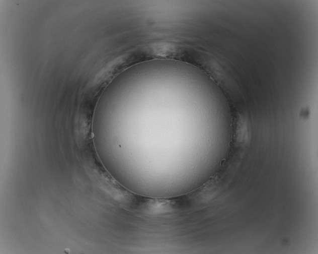 X0000111380569200907171225