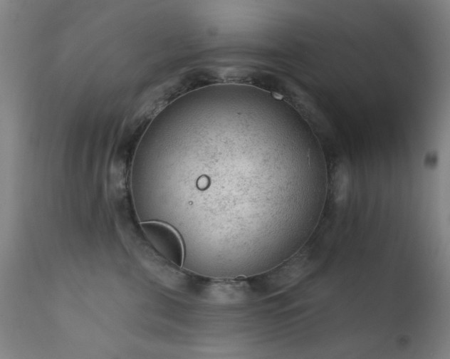 X0000111380571200907171225