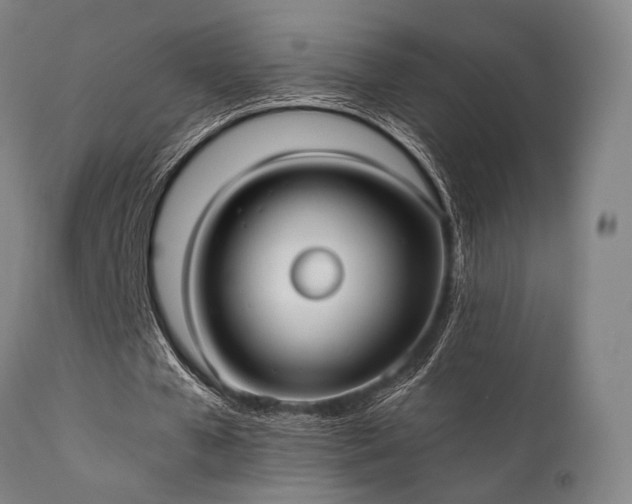 X0000111380577200907171224