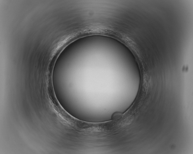 X0000111380578200907171224