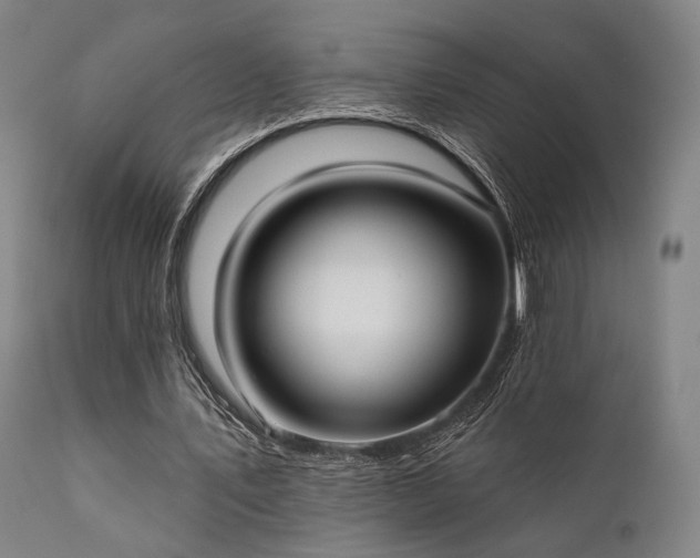 X0000111380579200907171224