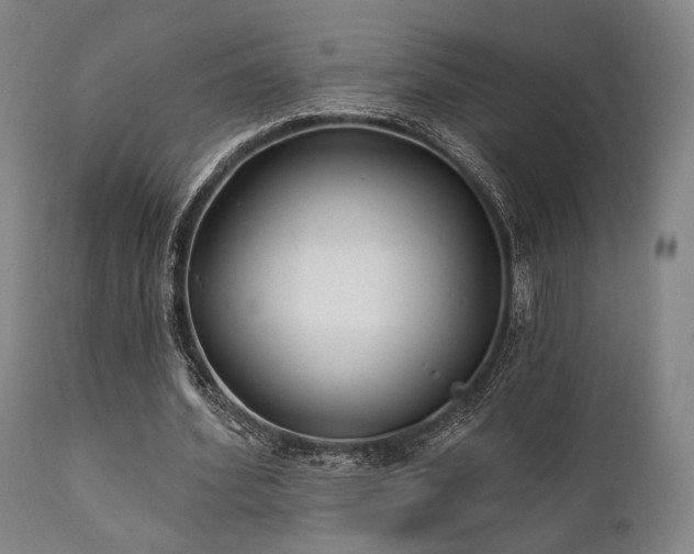 X0000111380580200907171224