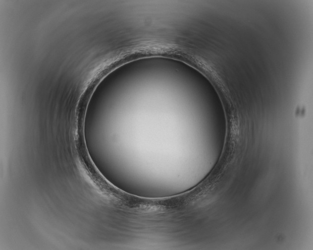 X0000111380582200907171224