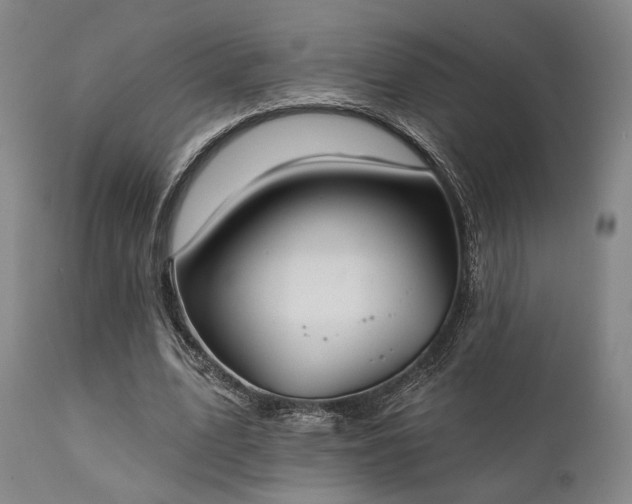 X0000111380583200907171224