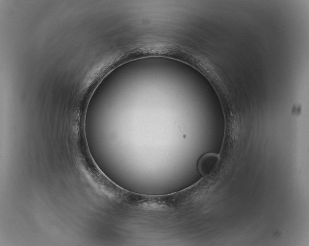 X0000111380586200907171224