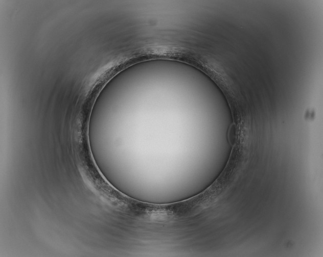 X0000111380587200907171224