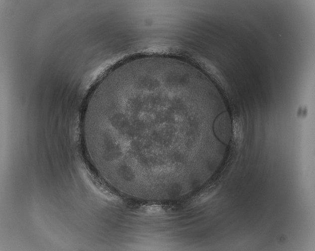 X0000111380588200907171224