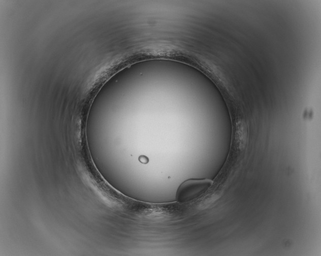 X0000111380589200907171224