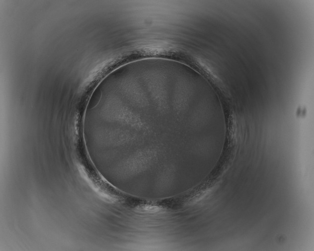 X0000111380590200907171224