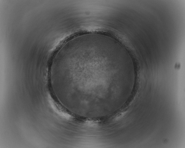 X0000111380592200907171224