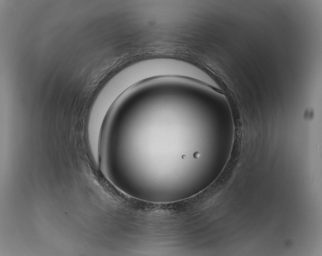 X0000111380593200907171224