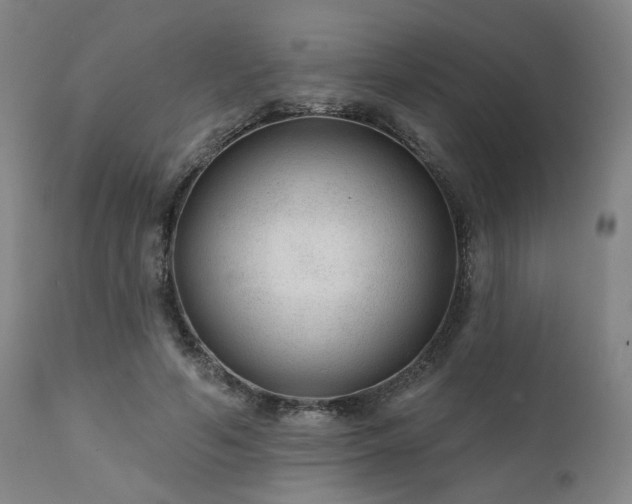 X0000111380594200907171224