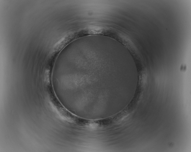 X0000111380598200907171224