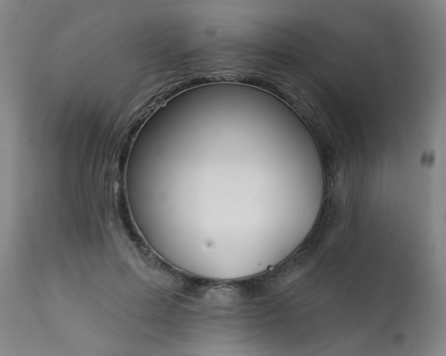 X0000111380599200907171224