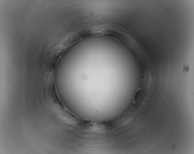 X0000111380601200907171224