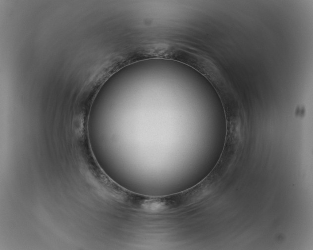 X0000111380602200907171224