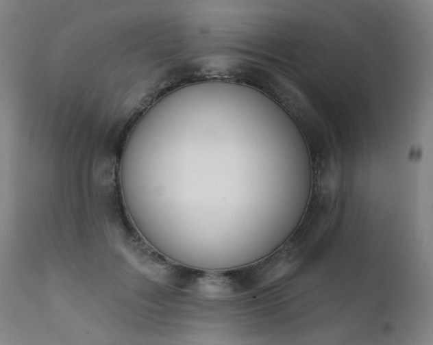 X0000111380603200907171224