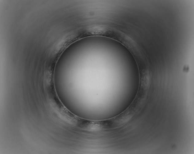 X0000111380604200907171224