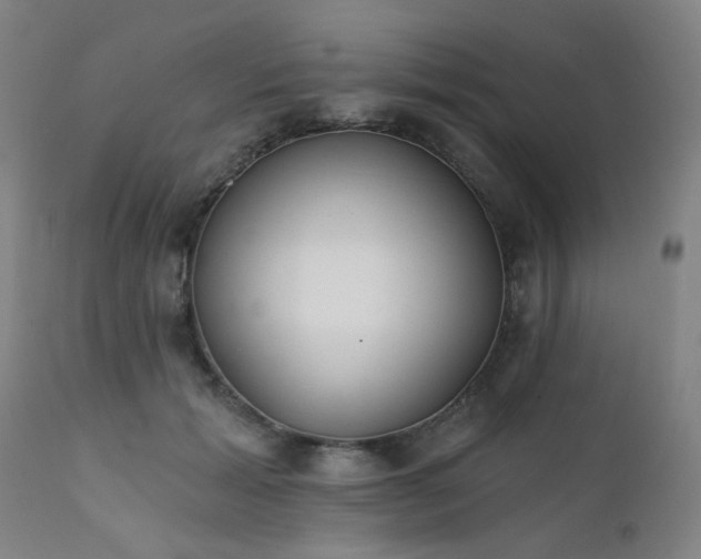 X0000111380605200907171224