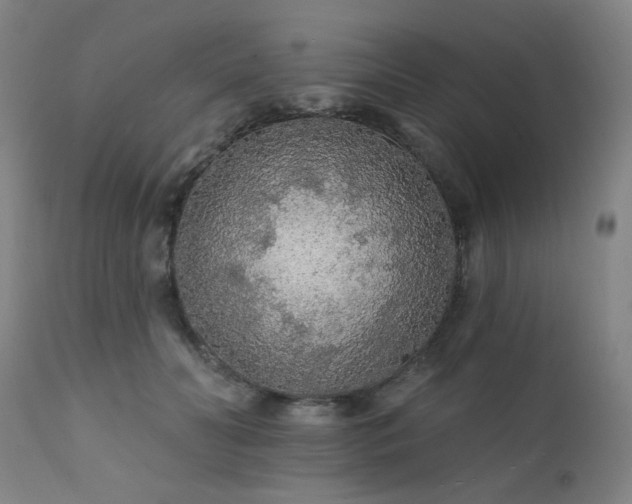 X0000111380606200907171224