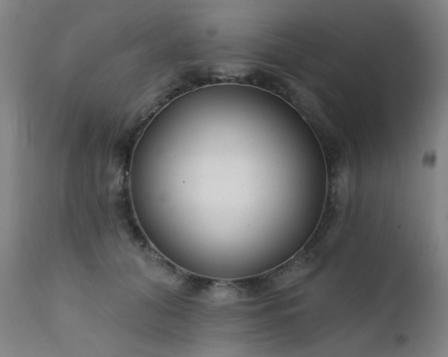 X0000111380608200907171224