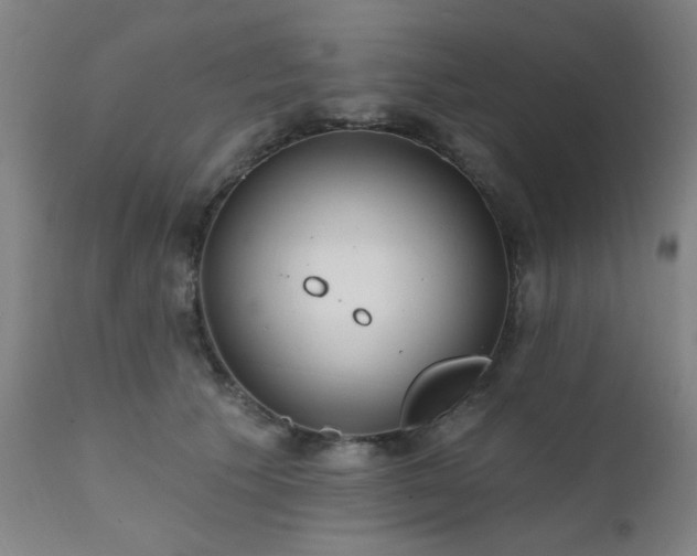 X0000111380609200907171224