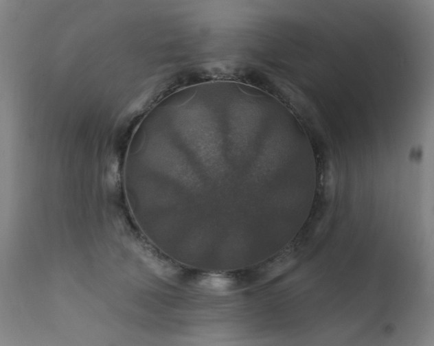 X0000111380610200907171224