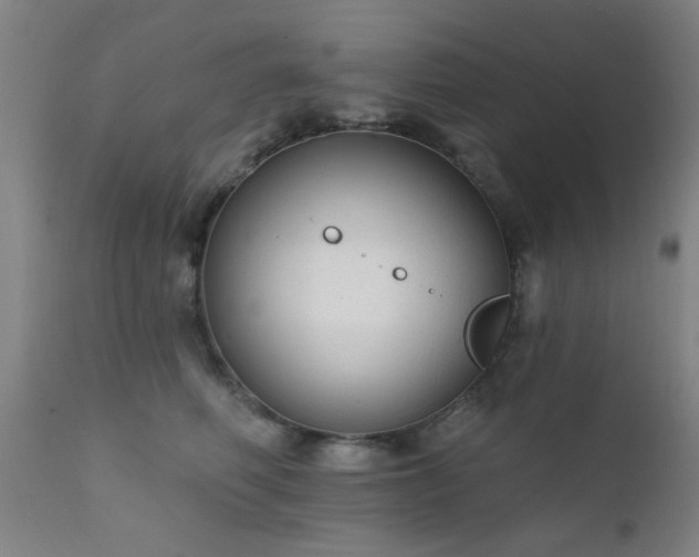 X0000111380614200907171224