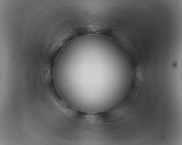 X0000111380615200907171224