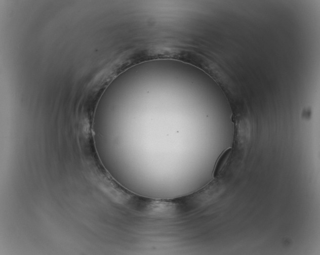 X0000111380617200907171224