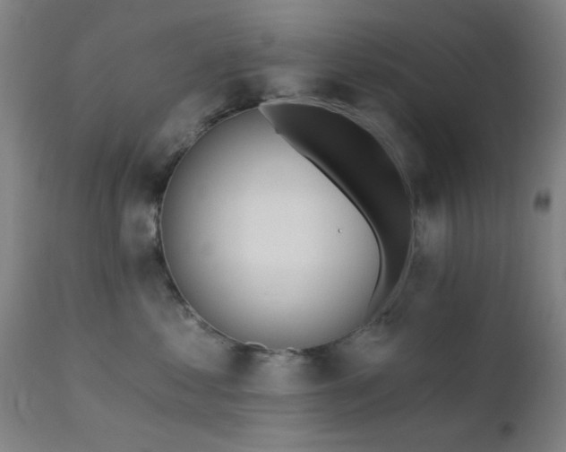 X0000111380621200907171224