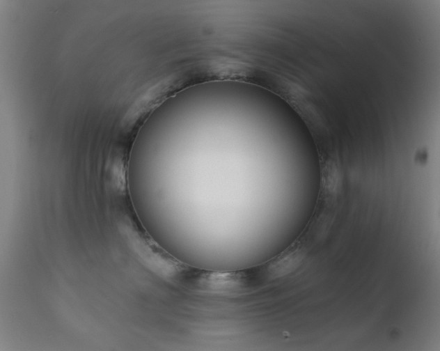 X0000111380622200907171224