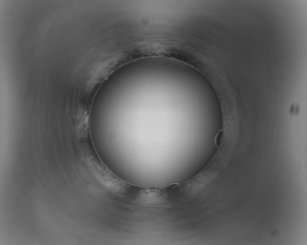 X0000111380624200907171224