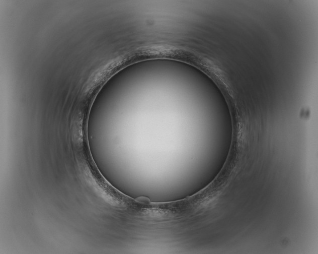 X0000111380633200907171223